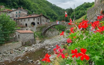 Via Molino Vecchio street, View of Bridge, Fabbriche di Vergemoli, Tuscany, Italy, Europe