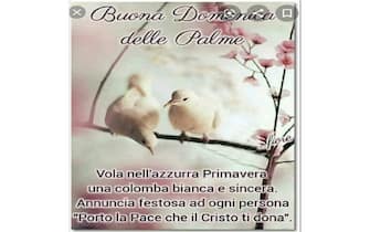 auguri domenica delle palme