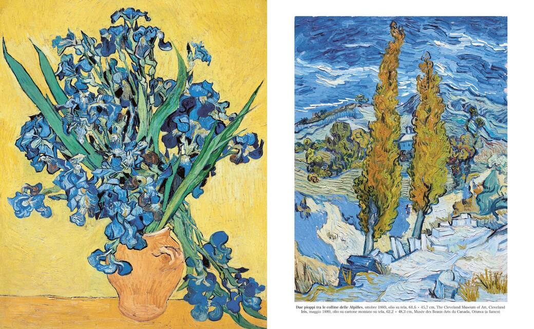 Van_Gogh._L’arte_più_grande_(c)2024_L’ippocampo_Milano.jpg