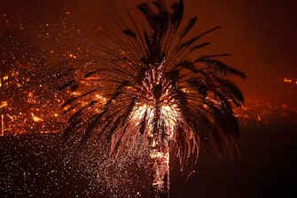 USA CALIFORNIA FIRE