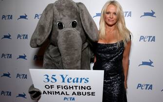 Pamela Anderson