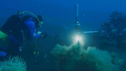 Alla riscoperta dell'isola siciliana apparsa nell'800 e mai riemersa