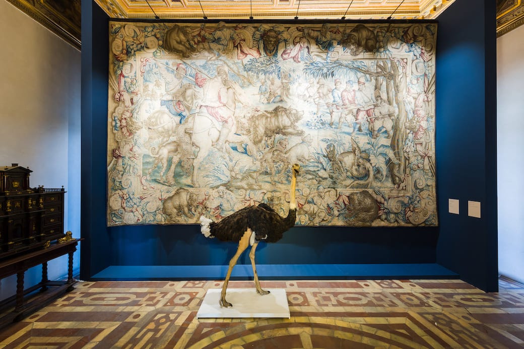 Giovanni_Stradano_un_immagine_di_allestimento_Museo_di_Palazzo_Vecchio_Foto_Nicola_Neri_Courtesy_MUS.E_9.jpg