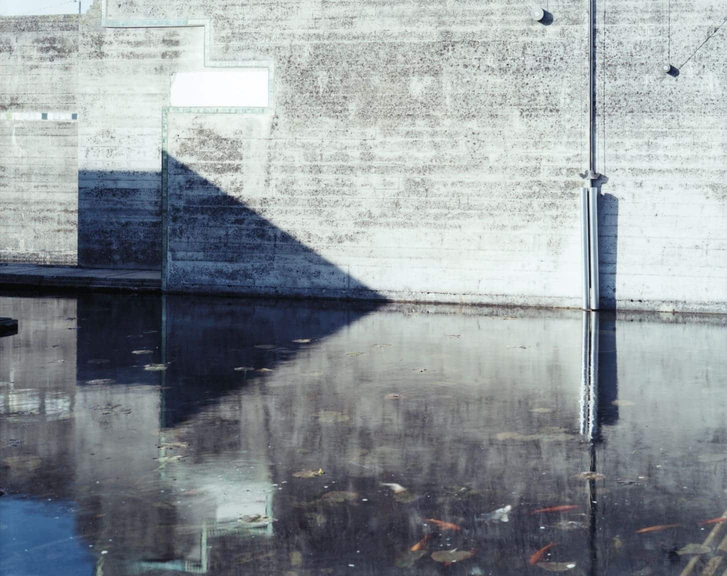 MAXXI_Guido_Guidi._Col_Tempo_-_San_Vito_2007._Photo_Guido_Guidi_Collezione_Fotografia_MAXXI_Architettura_e_Design_contemporaneo.jpg