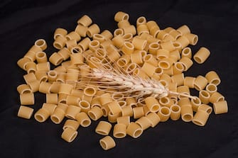 wheat and macaroni
