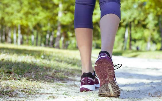 Salute, camminare 7mila passi al giorno riduce il rischio di malattie cardiache. Lo studio
