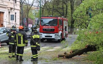 A causa del maltempo un albero e' caduto sulla fermata della linea 14, per fortuna senza causare feriti, a Milano, 31 marzo 2024. Il traffico e' stato deviato.
ANSA/ PAOLO SALMOIRAGO