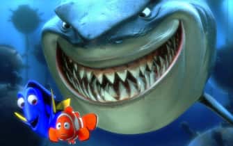 alla ricerca di nemo film