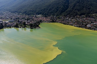 epa10815892 An image taken with a drone shows the water of Lake Lugano coloured in green and yellow due to a strong Cyanobacteria (Blue-Green Algae) proliferation, near Riva San Vitale, Switzerland, 23 August 2023. The proliferation of blue-green algeae is favoured by higher water temperatures. In cases of heavy proliferation, the bacteria can release substances that are potentially dangerous to humans and animals.  EPA/Elia Bianchi