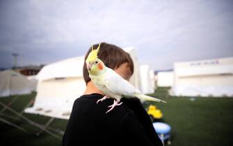 GAZIANTEP, TURKIYE - FEBRUARY 25: A view from a tent city established in quake-hit Gaziantep on February 25, 2023. Gulnaz Kilic, 41, in the Islahiye district of Gaziantep, is staying in the tent city with 11 birds, 4 of which are parrots, that she rescued from her house damaged in the earthquake. On Feb.6 a strong 7.7 earthquake, centered in the Pazarcik district, jolted Kahramanmaras and strongly shook several provinces, including Gaziantep, Sanliurfa, Diyarbakir, Adana, Adiyaman, Malatya, Osmaniye, Hatay, and Kilis. On the same day at 1.24 p.m. (1024GMT), a 7.6 magnitude quake centered in Kahramanmaras' Elbistan district struck the region. (Photo by Ozgun Tiran/Anadolu Agency via Getty Images)