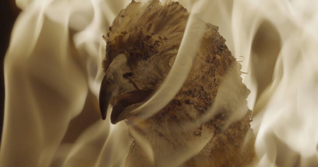 Andro Eradze, Ghost Carriers, film still, 05:00 min, 4K, 2025. Courtesy the artist.