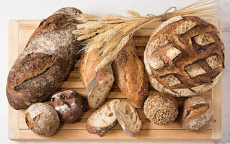 different kinds of bread