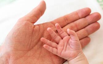 little, cute hand of a caucasian newborn baby girl/boy with pink skin lying openly in palm of its father or mother's hand, enjoying time together