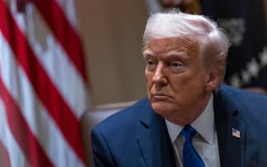I dazi di Trump