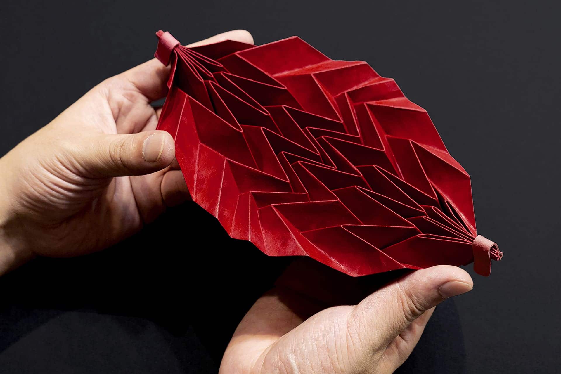 Origami_Shikki_Atsushi_Morita_2022_(1).jpg
