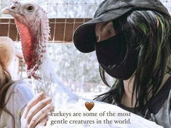 Billie Eilish ha lanciato un appello agli americani a non mangiare tacchino questo Thanksgiving in una story pubblicata sul suo account Instagram