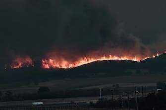 Wildfire rages near Alexandroupoli, northern Greece, on August 21, 2023. The European Union announced it was deploying two Cyprus-based fire-fighting aircraft and a Romanian fire-fighting team via the bloc's civil protection mechanism, as wildfires rage uncontrolled in Greece for a third day. (Photo by Sakis MITROLIDIS / AFP)