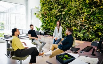 A group of colleagues sitting in front of a large, green plant display and having a meeting together in a modern office environment.