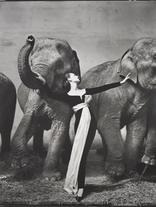 © The Richard Avedon Foundation