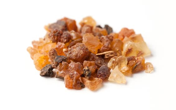 Cos'è La Mirra E Cosa Serve Epifania 2024: che cos'è la mirra, uno dei doni portati dai Re Magi