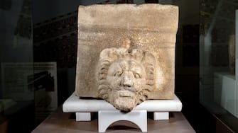 La testa di leone in marmo
prezioso intatta e in perfetto stato di conservazione rinvenuta a Selinunte dall'archeologo Jon Albers durante le ricerche condotte dall'Università di Bochum, 24 Agosto 2023. ANSA/US REGIONE SICILIA
