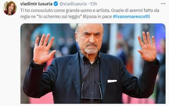 Vladimir Luxuria