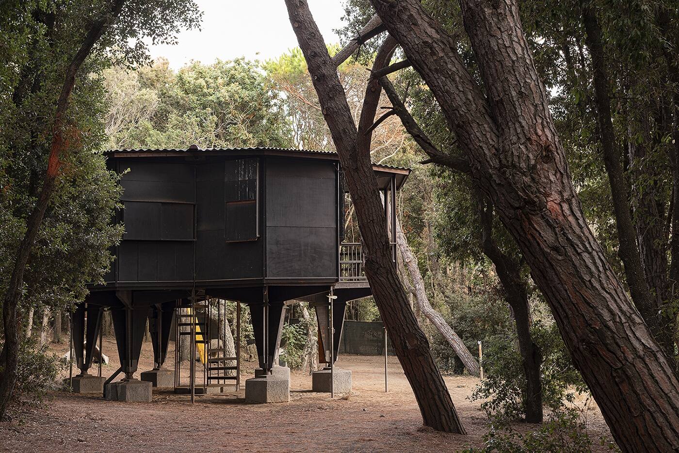 Ph_Fabio_Bascetta_-_Courtesy_B.A.Co._(Baratti_Architettura_e_Arte_Contemporanea)_–_Archivio_Vittorio_Giorgini.jpg
