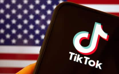 Usa, i giovani sono affascinati dalla politica. Ma solo su TikTok