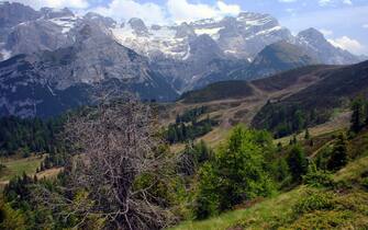 Pinzolo Landscape at hiking trail to Doss del Sabion near Pinzolo in South Tyrol in Italy,Europe