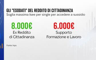 reddito cittadinanza