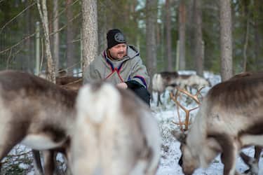 Visita agli allevatori di renne con assaggio di prodotti Sami