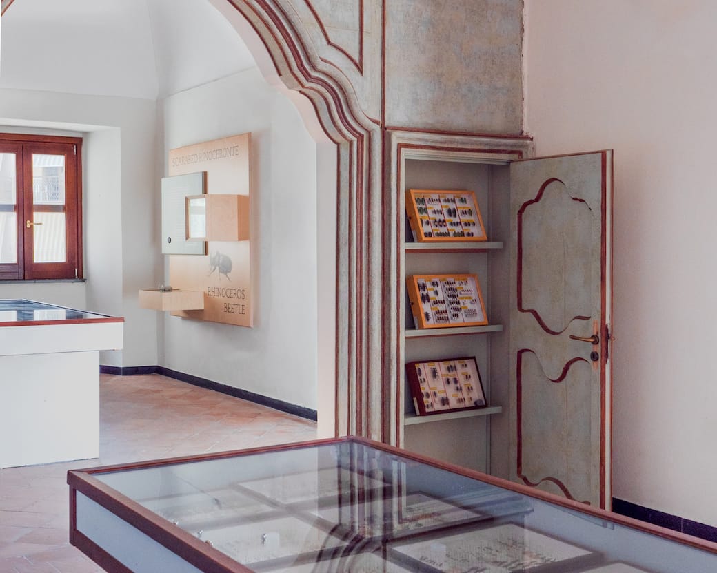 Dotdotdot - Museo Naturalistico Minà Palumbo, installation view. Ph Dotdotdot