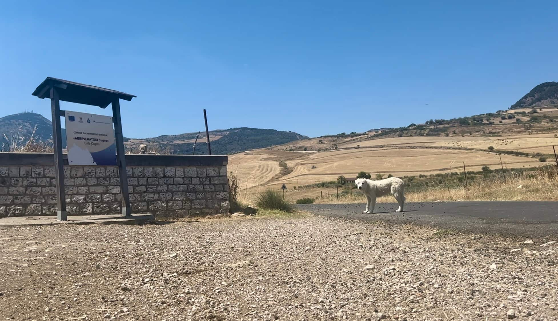 Abbeveratoio per animali a Castronovo