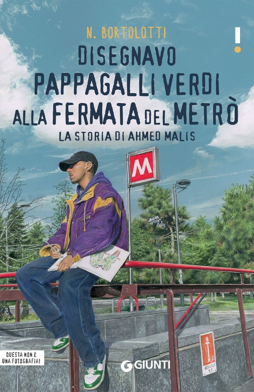 disegnavo pappagalli verdi