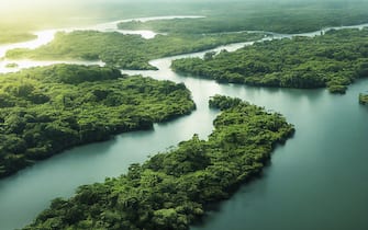 Aerial View of Panama Canal on the Atlantic Side