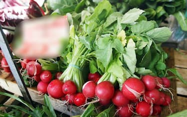 Idratazione e alimentazione 