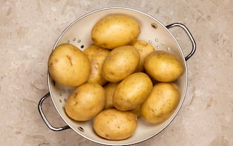 Spesa febbraio