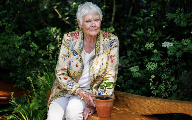 epa11355423 British actor Dame Judi Dench poses at The Octavia Hill Garden display during the press day at the Chelsea Flower Show in London, Britain, 20 May 2024. The annual gardening exhibition runs from 21 to 25 May 2024 at the Royal Chelsea Hospital in London.  EPA/TOLGA AKMEN