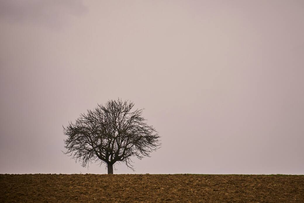 Foto di Wolfgang Hasselmann su Unsplash