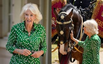 14_famiglie_reali_news_queen_camilla_ipa - 1