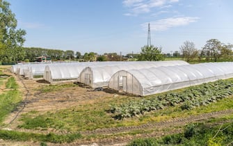 Ferrara, Italy. 22 April, 2020. Greenhouses with fruits and vegetables in the “Casa di Stefano” (House of Stefano) recovery community in Ferrara, Ita