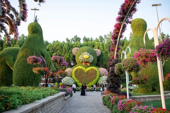 DUBAI, UAE - OCTOBER 22: People visit Dubai Miracle Garden, which is the largest flower garden exist with its millions of flowers, also has the longest flower walls in the world in Dubai, United Arab Emirates on October 22, 2022. The garden is included in the Guinness Book of Records and occupies over 72,000-square-meter of land. (Photo by Mohammed Zarandah/Anadolu Agency via Getty Images)