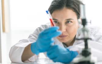 A female laboratory technician examines blood vial sample. Medical gloves and a lab coat are worn for protection.  Focus is on the laboratory technician.