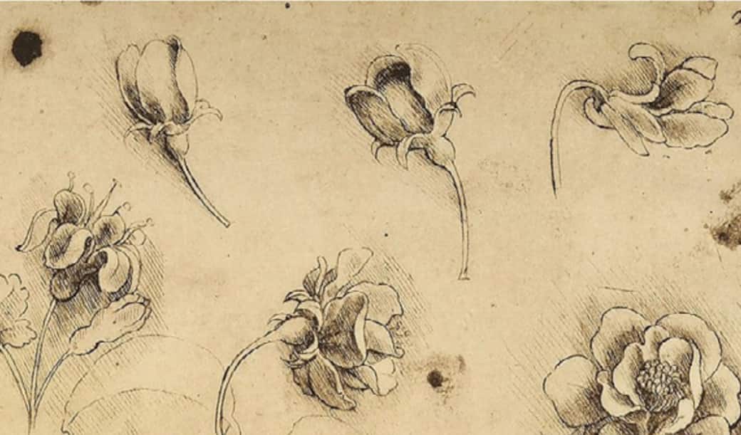 Leonardo_da_Vinci_and_the_Perfumes_of_the_Renaissance_-_Dettaglio_della_copertina.jpg