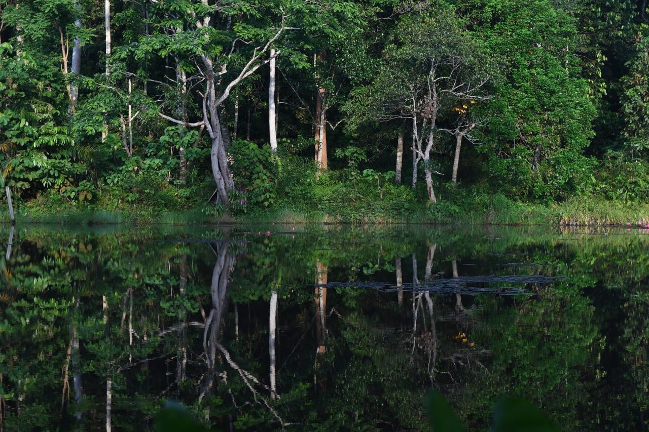 La veduta di un lago vicino Hutan Harapan