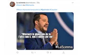 meme quirinale