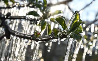 TIRANO, ITALY - APRIL 05: Apple trees are covered with a thin layer of ice after being artificially sprayed with water by sprinklers to protect the blossoms from late frosts in Tirano, Italy on April 05, 2023. A tardive wave of polar air coming from Norway this week is posing a threat for crops deceived by the climate which have awakened earlier than usual and are increasingly exposed to the implications of climate change. (Photo by Piero Cruciatti/Anadolu Agency via Getty Images)