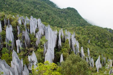 9. Il parco nazionale di Gunung Mulu, nel Borneo malese