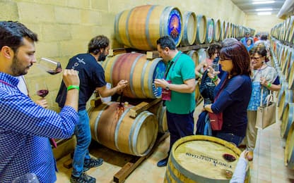 Alla scoperta del mondo del vino, tornano gli eventi di Cantine aperte