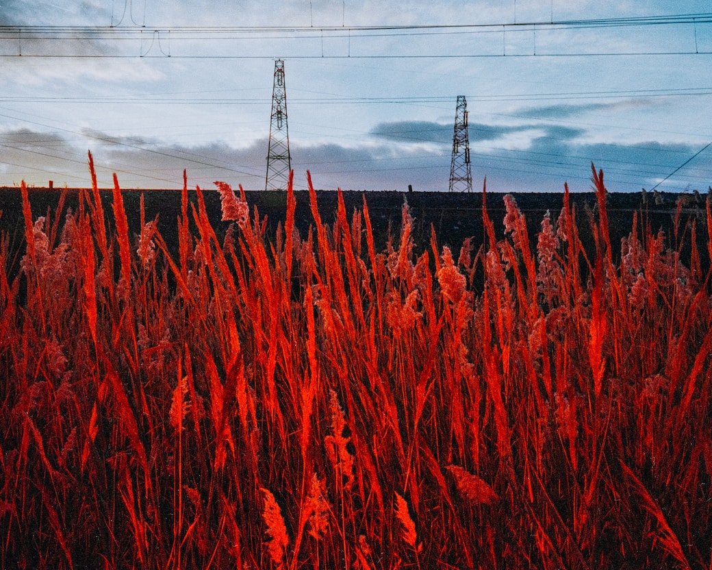 Courtesy Lorenzo Gonnelli. Acciaio, 2024. FIUTO Art Space, Ripatransone (AP)